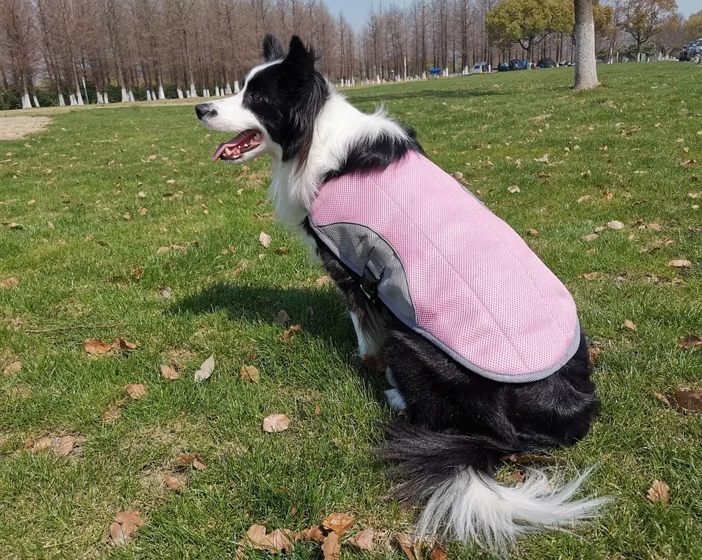 Літній охолоджувальний жилет для великих порід собак Derby Summer Dog Cooling Vest PPA0116, Pink, 2XL - фото 2