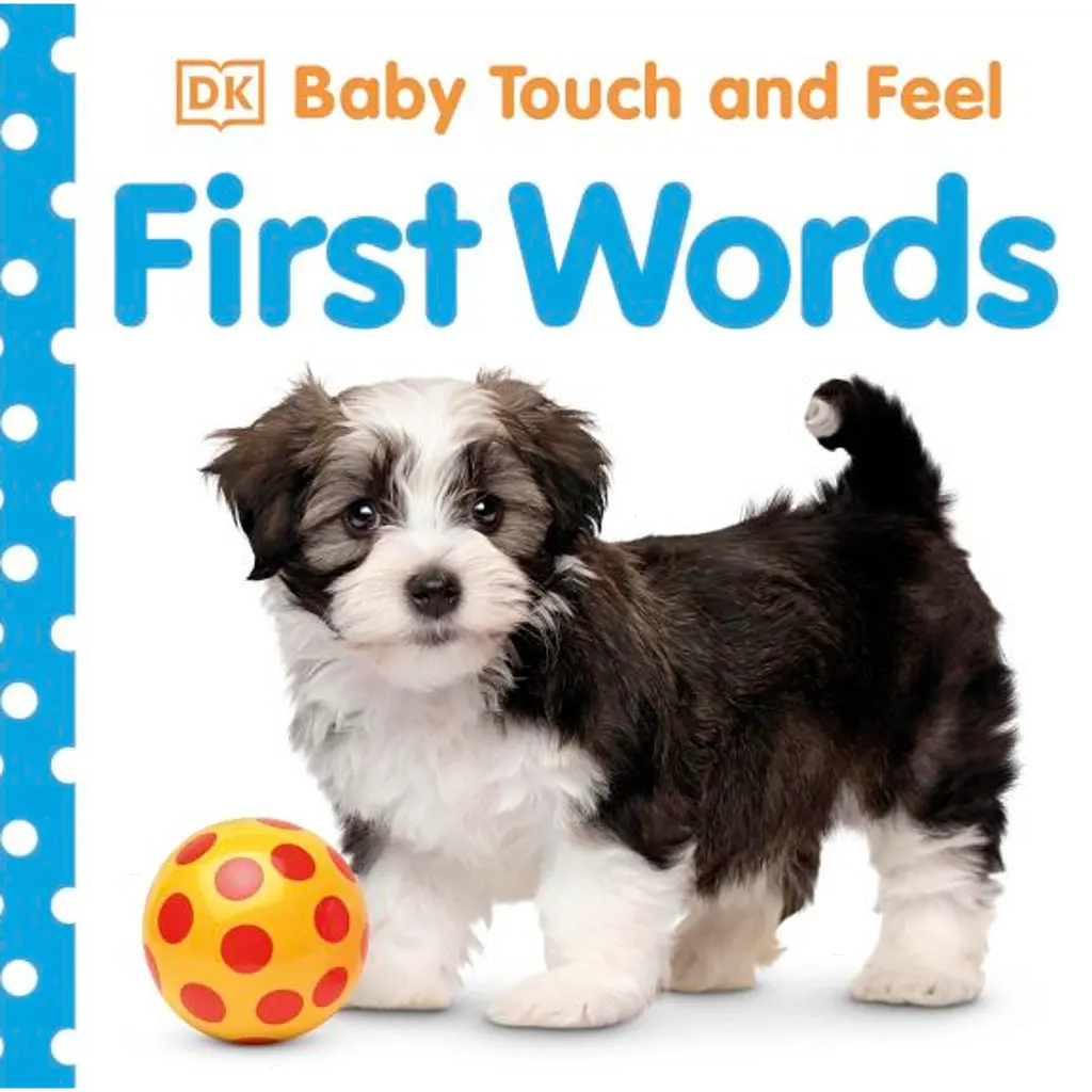 Baby Touch and Feel. First Words -