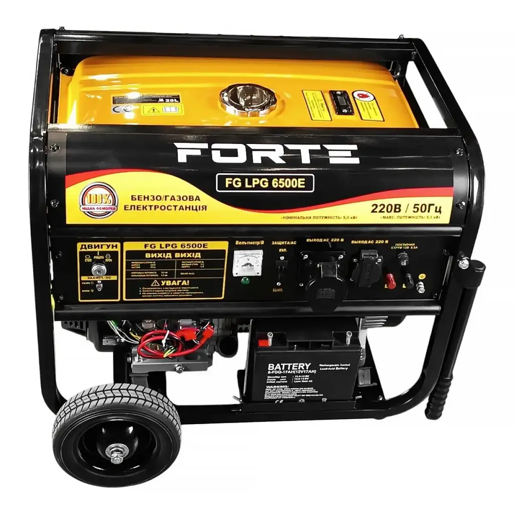 Генератор двухтопливный Forte FG LPG-6500E - фото 2