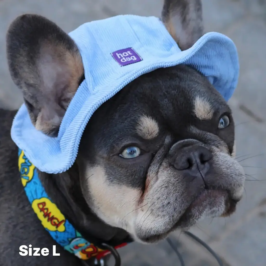 Панама для собак Hat-Dog Блакитна (L) - фото 7