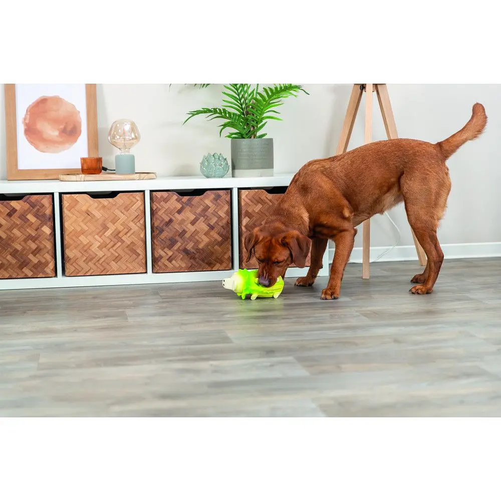 Игрушка для собак Trixie Капустная свинка латекс 23 см светло-зеленая  - фото 5