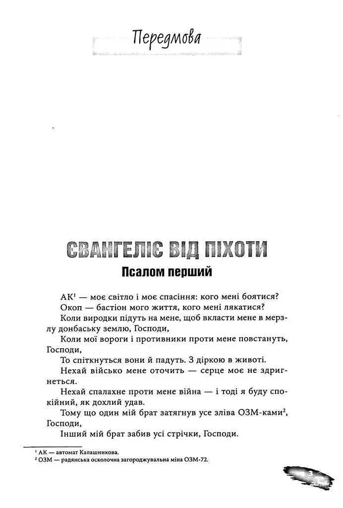 Піхота. Наша земля - фото 2