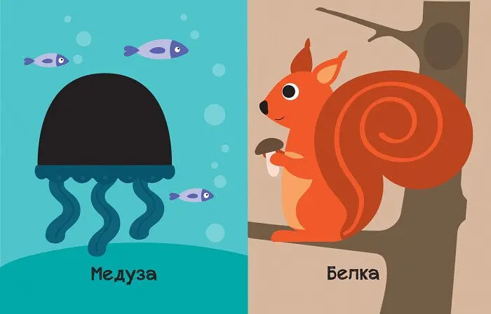Книга Ранок На кого схожі тваринки? - Ангеліна Журба (К1272001У) - фото 4