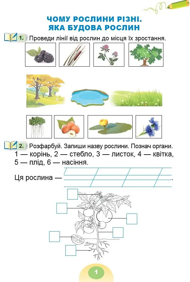Я досліджую світ 1 клас. Зошит-практикум. Частина 2 - фото 2