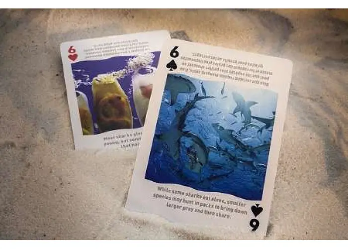 Карти гральні United States Playing Card Company Bicycle Sharks (2273) - фото 3