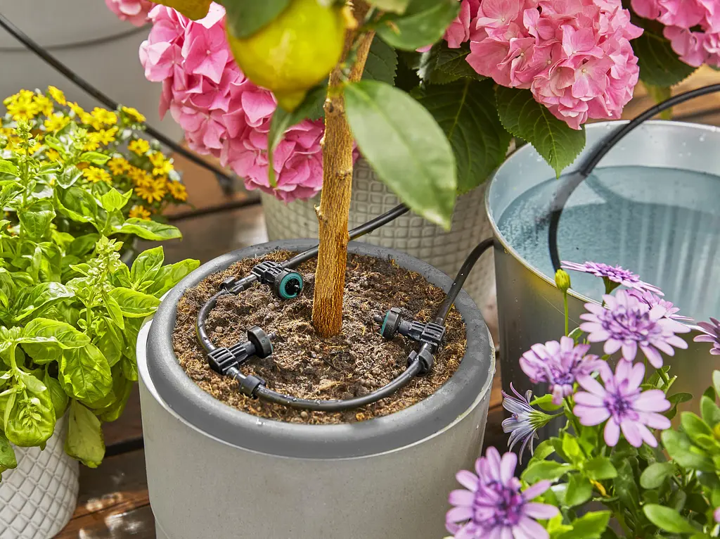 Шланг магістральний Gardena Micro-Drip-System 4,6 мм, 20 м (13300-00.640.00) - фото 2