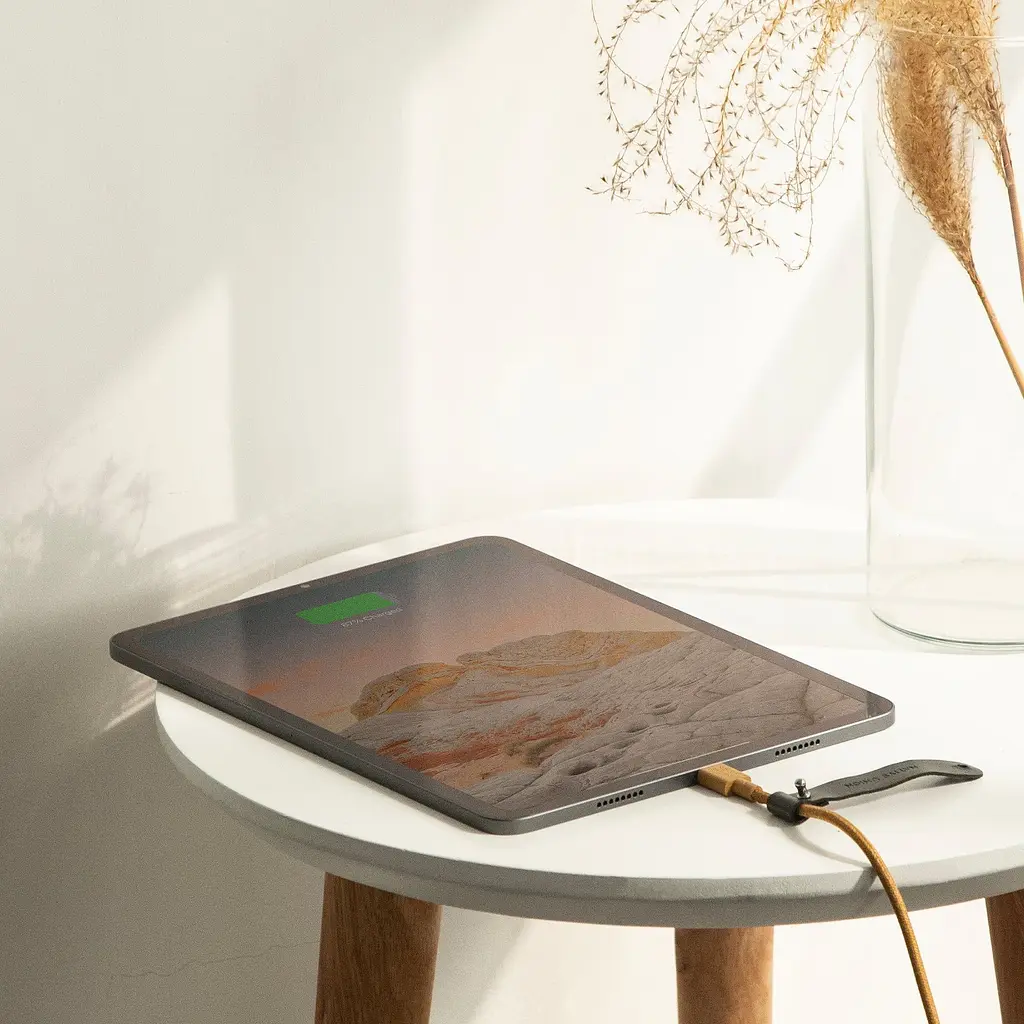 Кабель USB-C to USB-C Native Union Belt Cable Kraft 1.2 м (BELT-C-KFT-2-NP) - фото 5