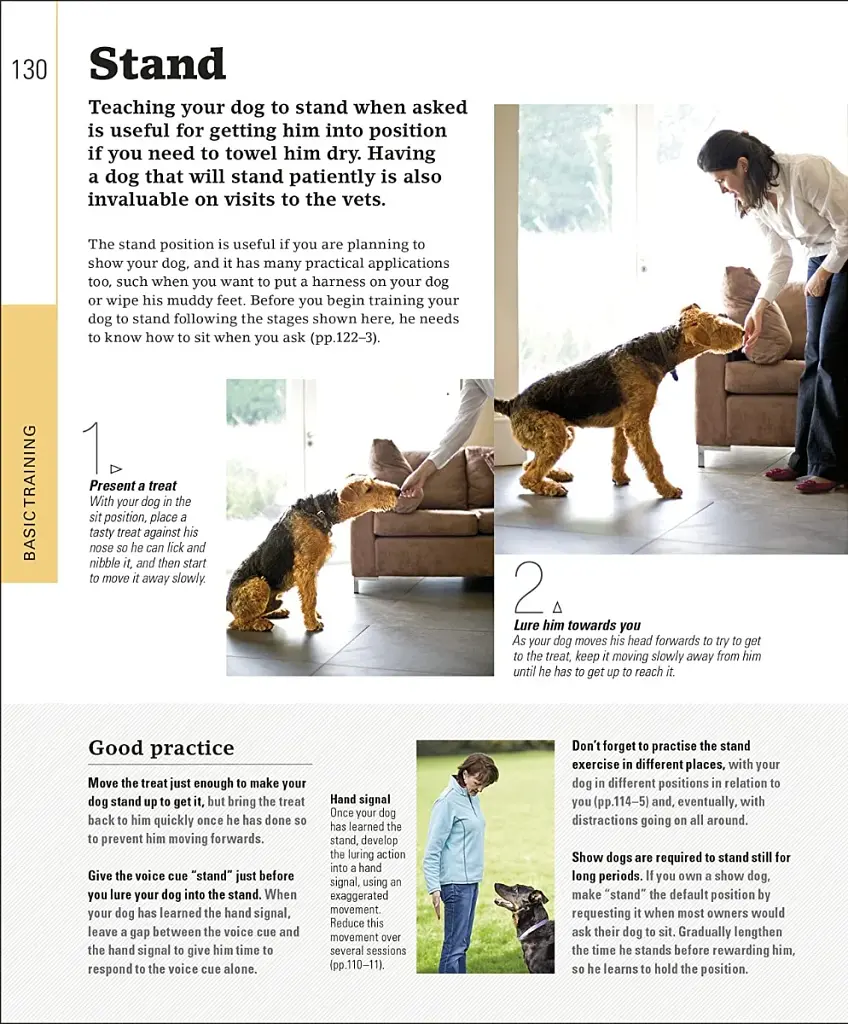 The Beginner's Dog Training Guide - фото 5