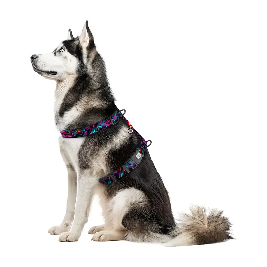 Шлея для собак WAUDOG H-подібна анатомічна Nylon з QR адресником "Нескінченні світи" пластиковий фастекс XL (347-4058) - фото 3