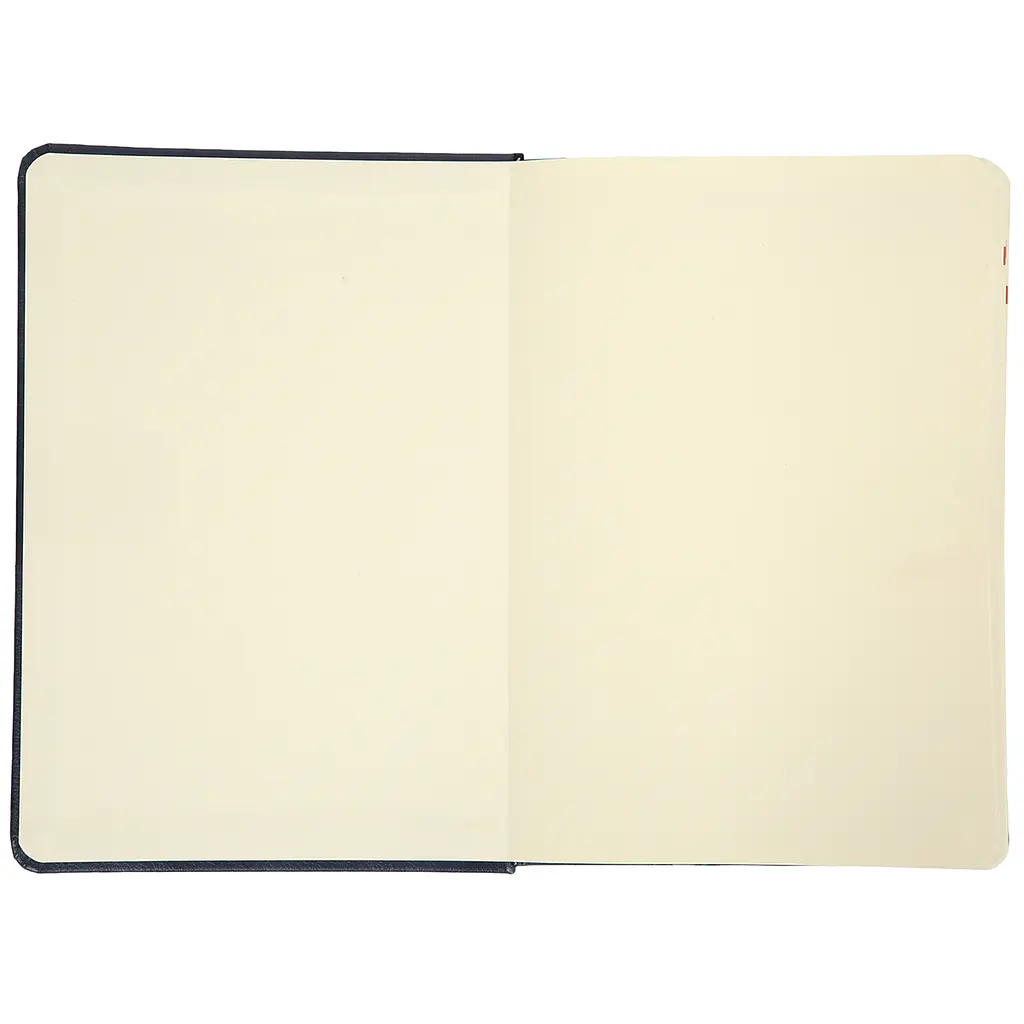 Щоденник А5 Leo Planner датований 2025 Persona синій 368 сторінок (252662) - фото 3