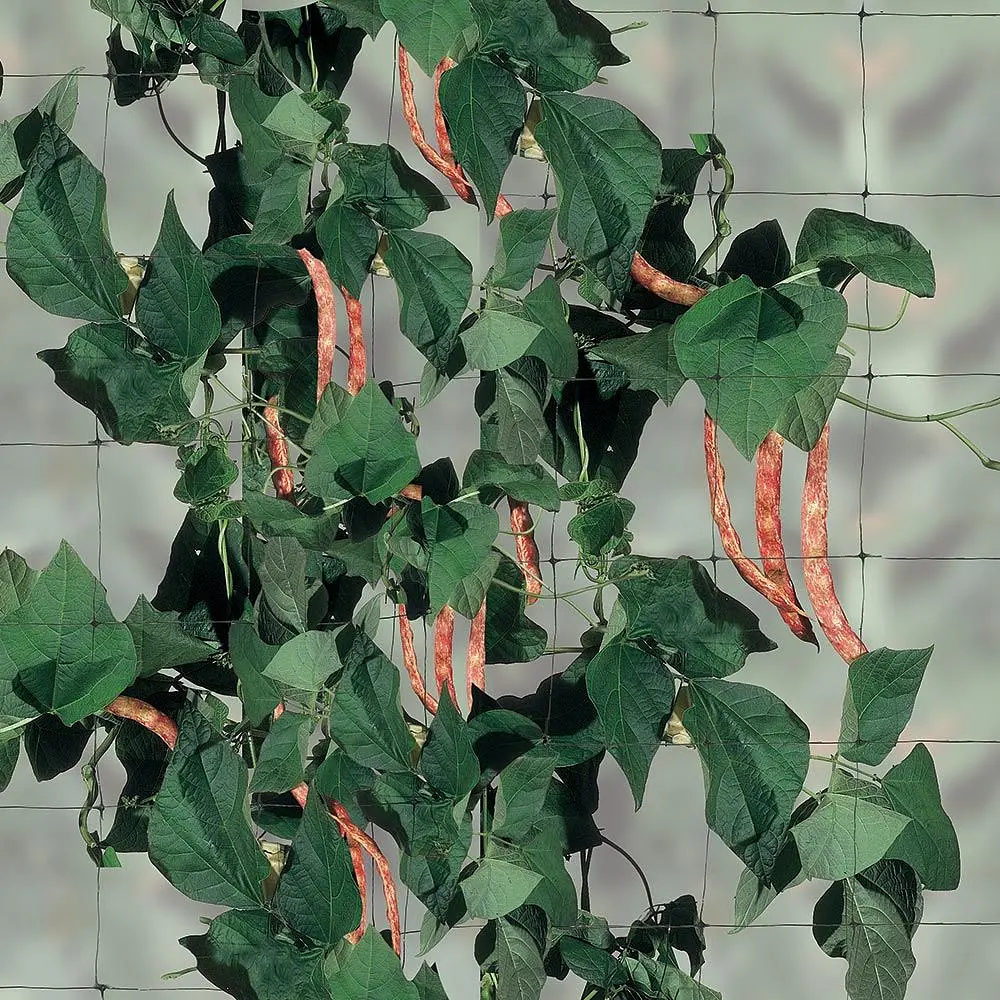 Сітка полімерна Tenax Flora 1.5х10 м зелена (8002929090812) - фото 4