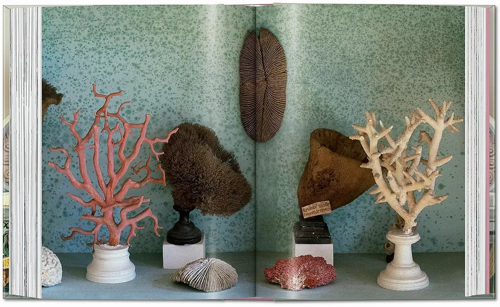 Cabinet of Curiosities - фото 6