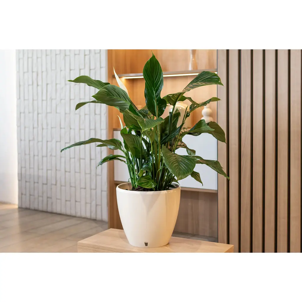 Вазон Santino Deco Twin 12 л кремовий (2023131) - фото 7