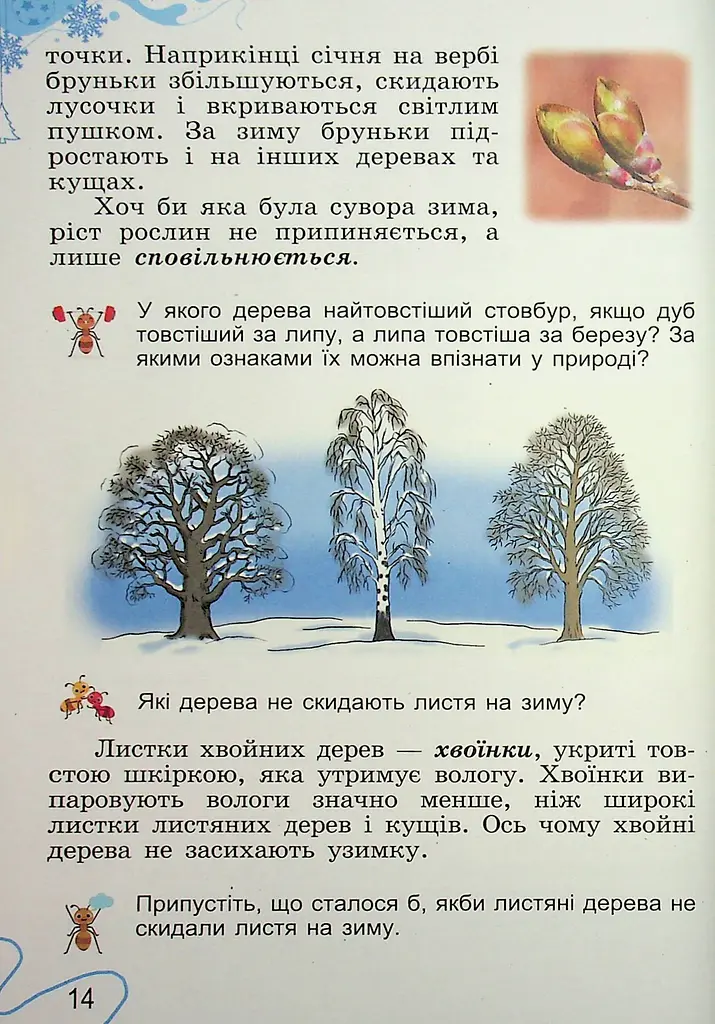 Я досліджую світ. 2 клас. Частина 2 - фото 14