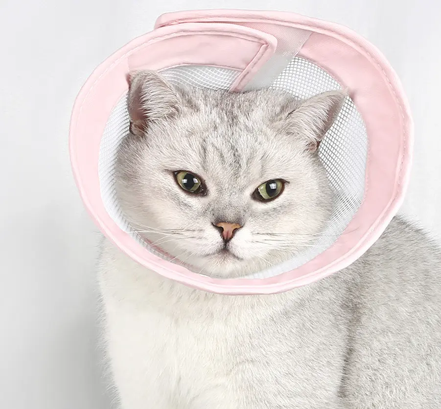 Захисний комір для котів Derby Breathable Cat Elizabeth Collar, Pink, L 20-26 см