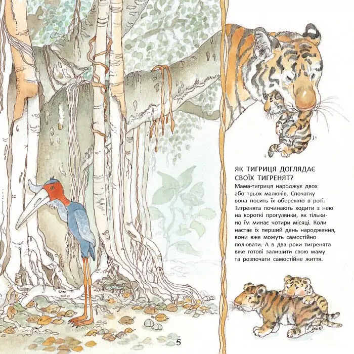 Книга Ранок Тигреня Сілія - Даніела Де Лука (С699004У) - фото 6