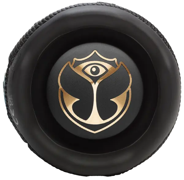 Портативная акустика JBL Flip 7 Tomorrowland (JBLFLIP7TML) - фото 2