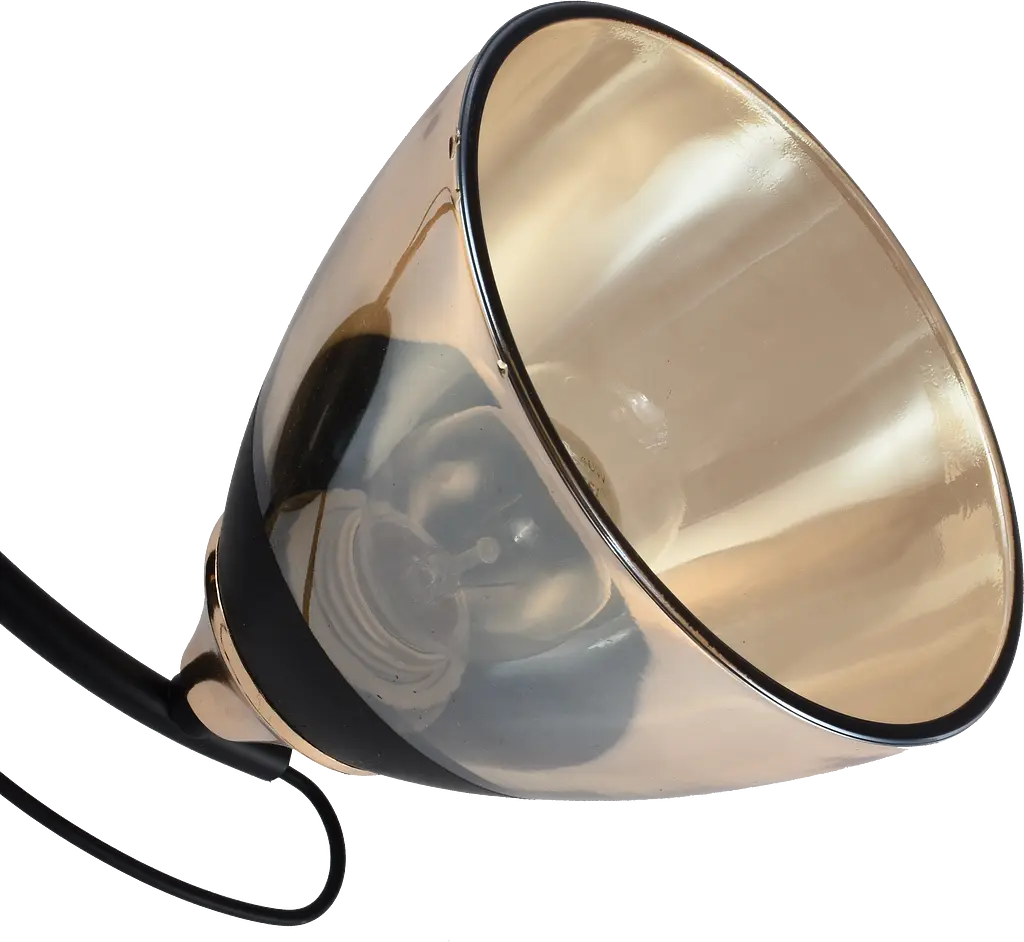 Декоративная люстра V XA1248B/2 Gold Black на 2 плафона - фото 4