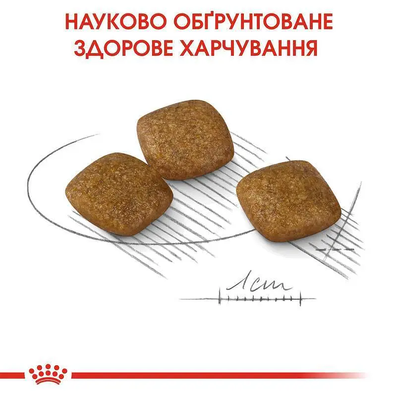 Сухой корм для собак малых пород, чувствительных к изменениям среды Royal Canin Mini Relax Care, 3 кг (1224030) - фото 5