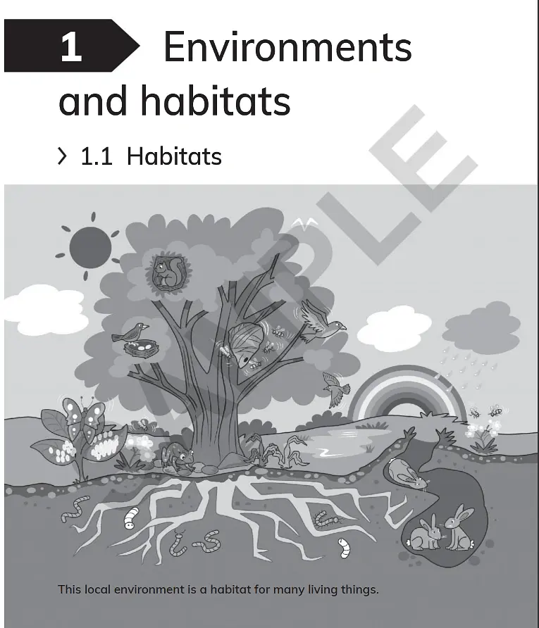 Cambridge Primary Science 2. Workbook with Digital Access (1 Year) - Джон Борд - фото 3
