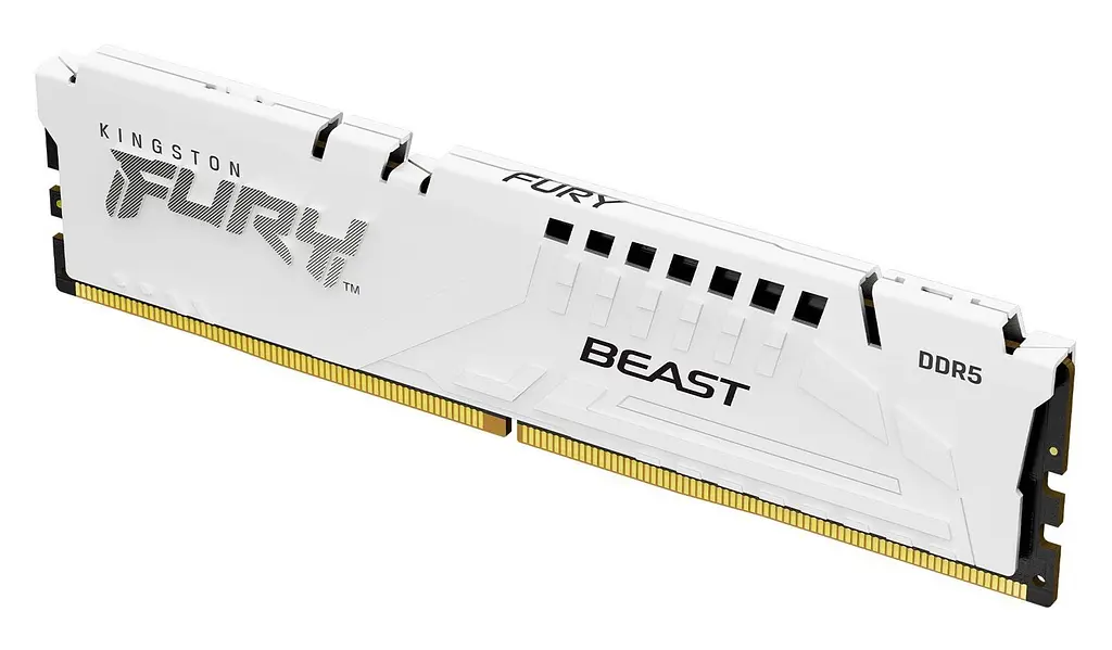 Kingston Пам'ять ПК Kingston DDR5 16GB 6800 FURY Beast FURY Beast White EXPO - фото 2