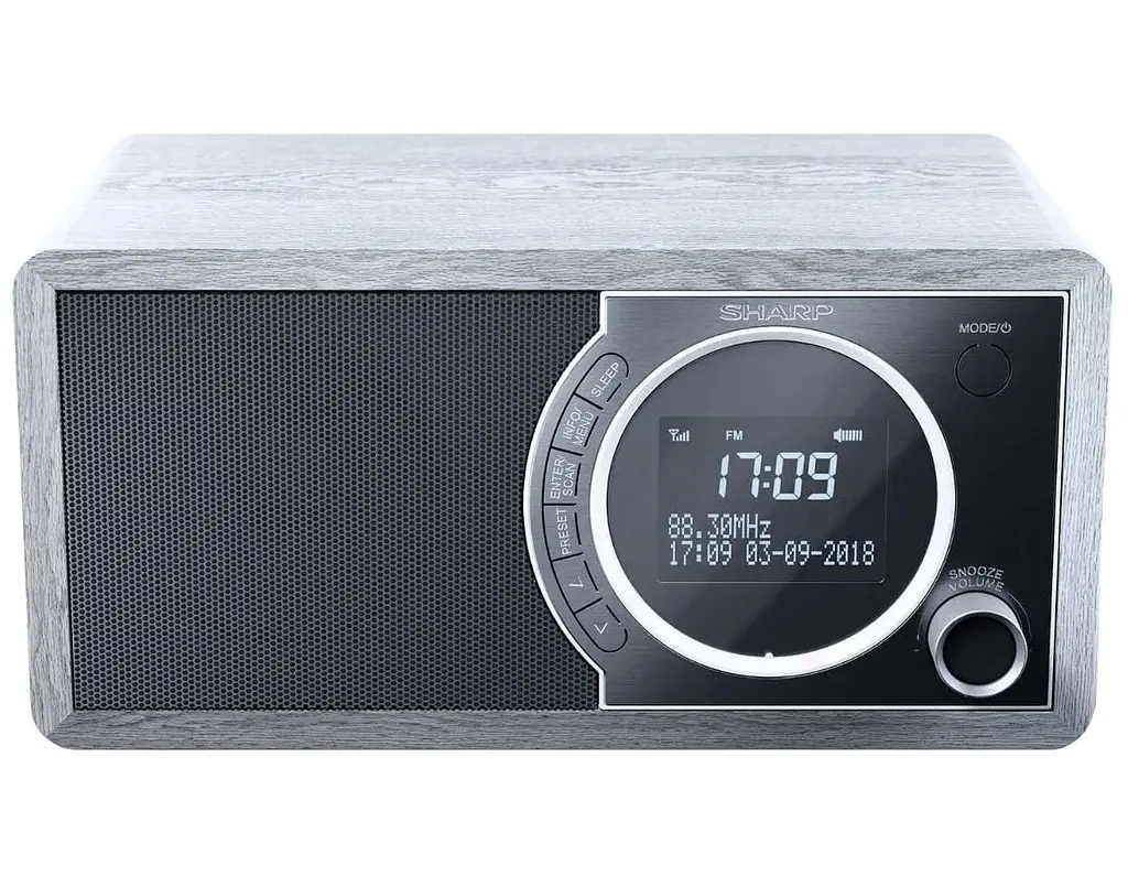 Радіоприймач колонка Sharp DR450GR Grey DAB+, FM RDS, Bluetooth, мережа