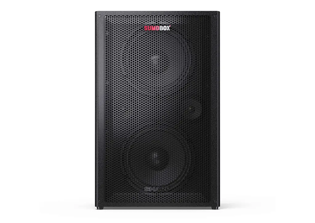 Портативна колонка Sharp CP-LS200 Black - фото 2