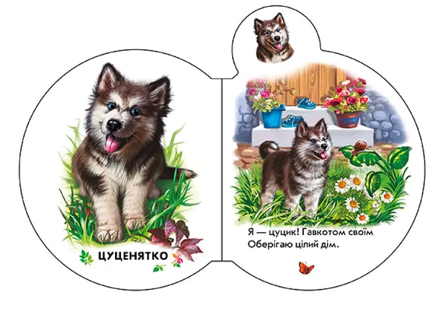 Малята: У селі Ранок М411016У Різнокольоровий (9789667508593) shop (9789667508593) - фото 2