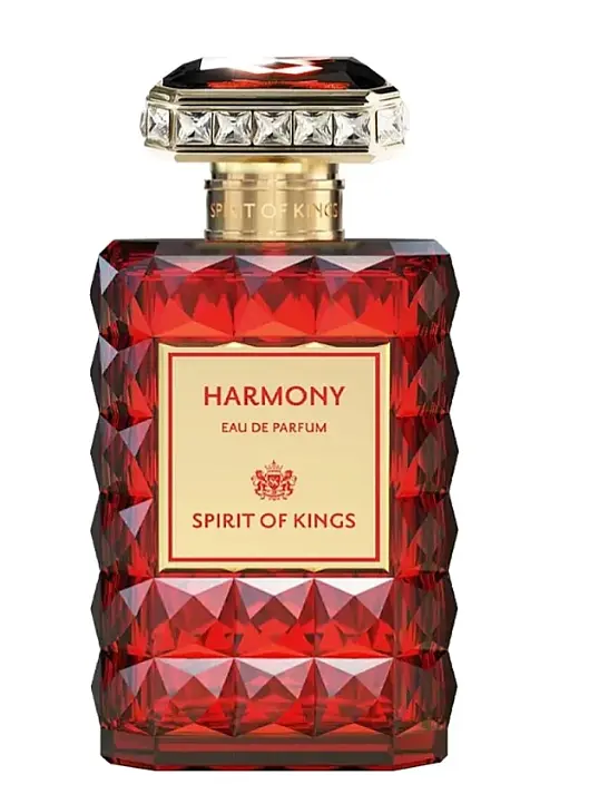 Парфуми оригінал Spirit Of Kings Harmony 100 мл Parfum - фото 2