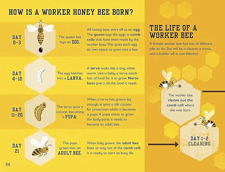 The Bee Book - фото 2
