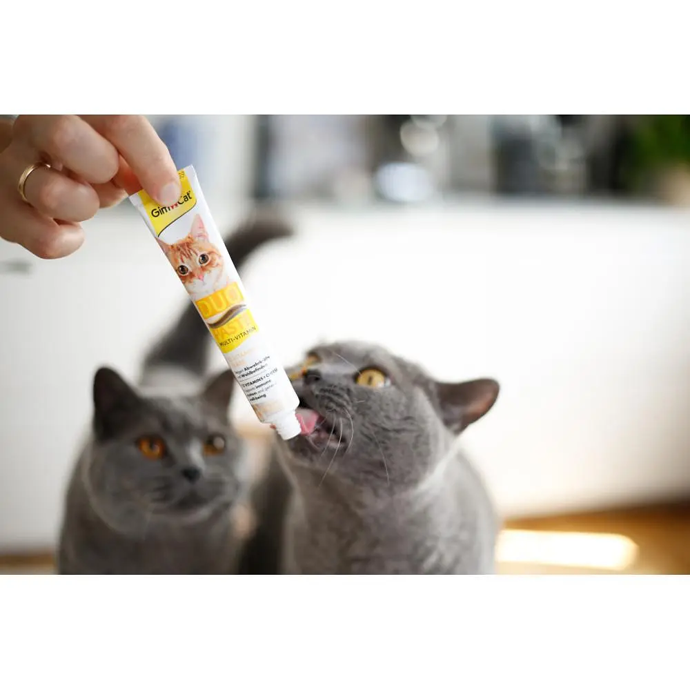 Паста для котів GimCat DUO PASTE Multi-vitamin 12 vitamins with cheese 12 вітамінів і сир, 50 г - фото 8