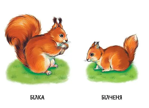 22 картинки. Мами і дитинчата - - фото 3
