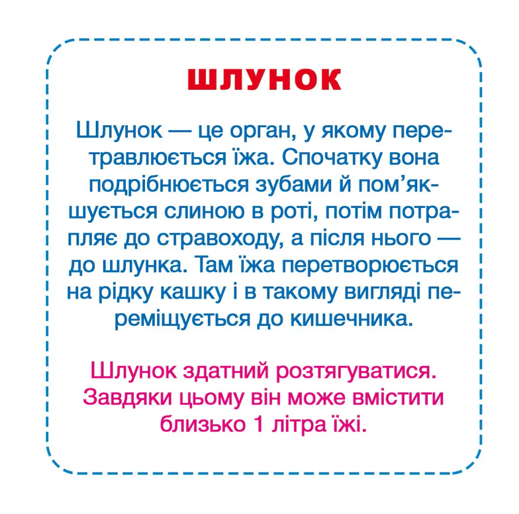 Розумні картки. Моє тіло. 30 карток - - фото 5