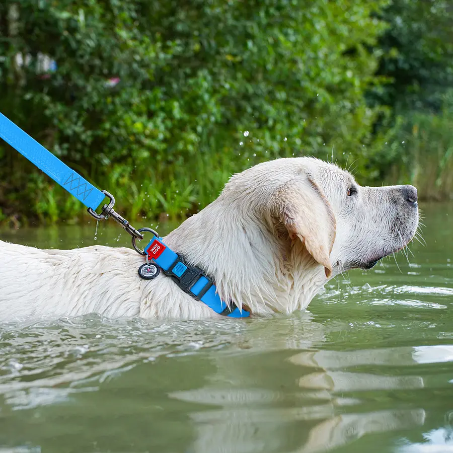 Ошейник для собак водостойкий Waudog Waterproof с QR-паспортом пластиковая пряжка-фастекс Ш 25 мм Д 38-58 см голубой - фото 5