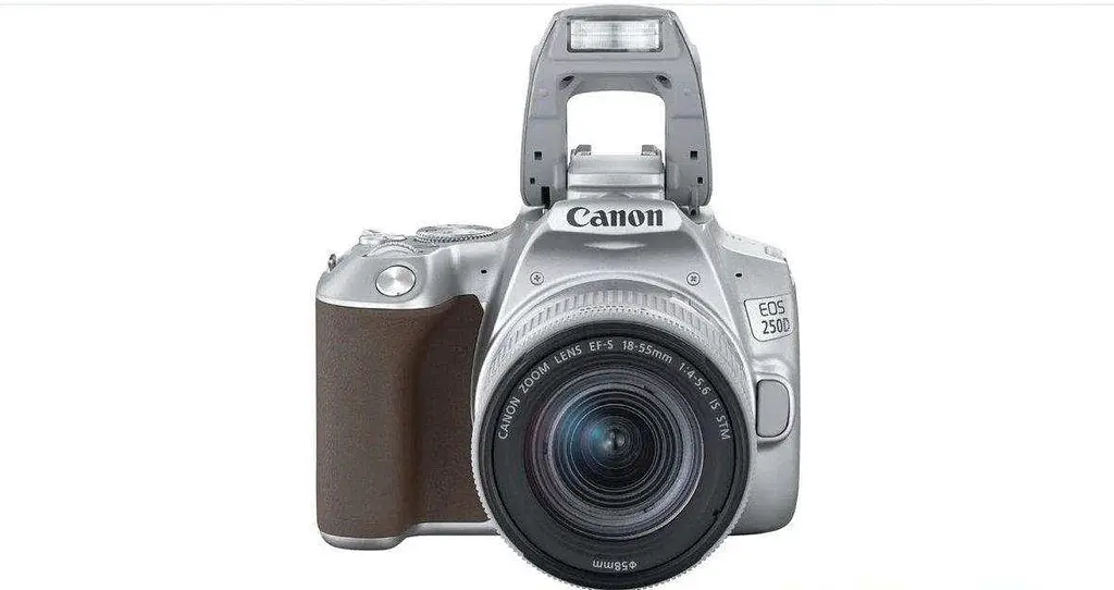 Фотоапарат Canon EOS 250D + 18-55mm IS STM Silver - фото 3