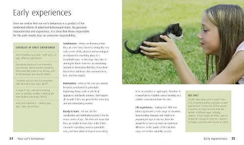 Hamlyn All Colour Petcare. Cat Care Essentials - Франческа Ріккоміні - фото 3