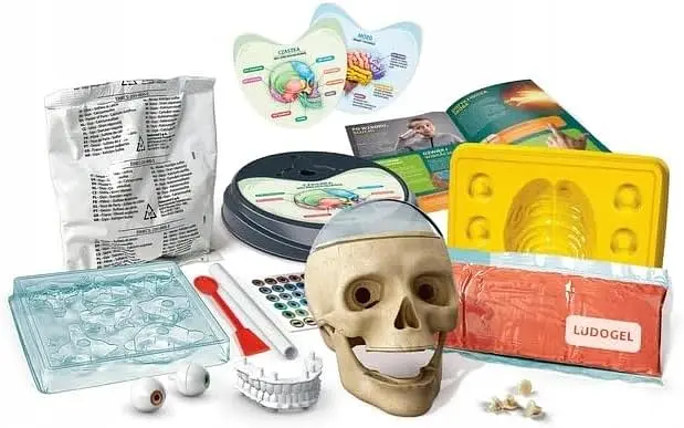 Научный и веселый набор Сумасшедшая анатомия - Clementoni 50697 - фото 3