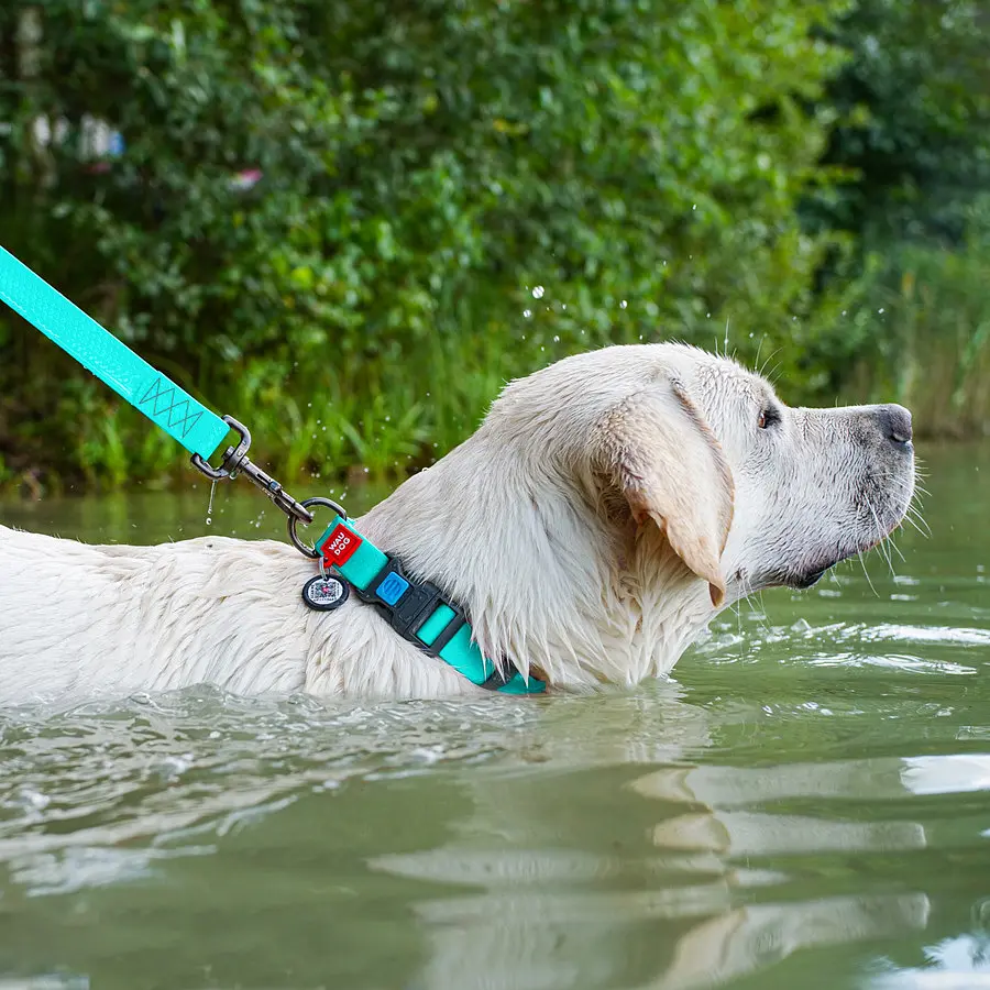 Ошейник для собак водостойкий Waudog Waterproof с QR-паспортом светонакопительная пластиковая пряжка-фастекс Ш 25 мм Дов - фото 5
