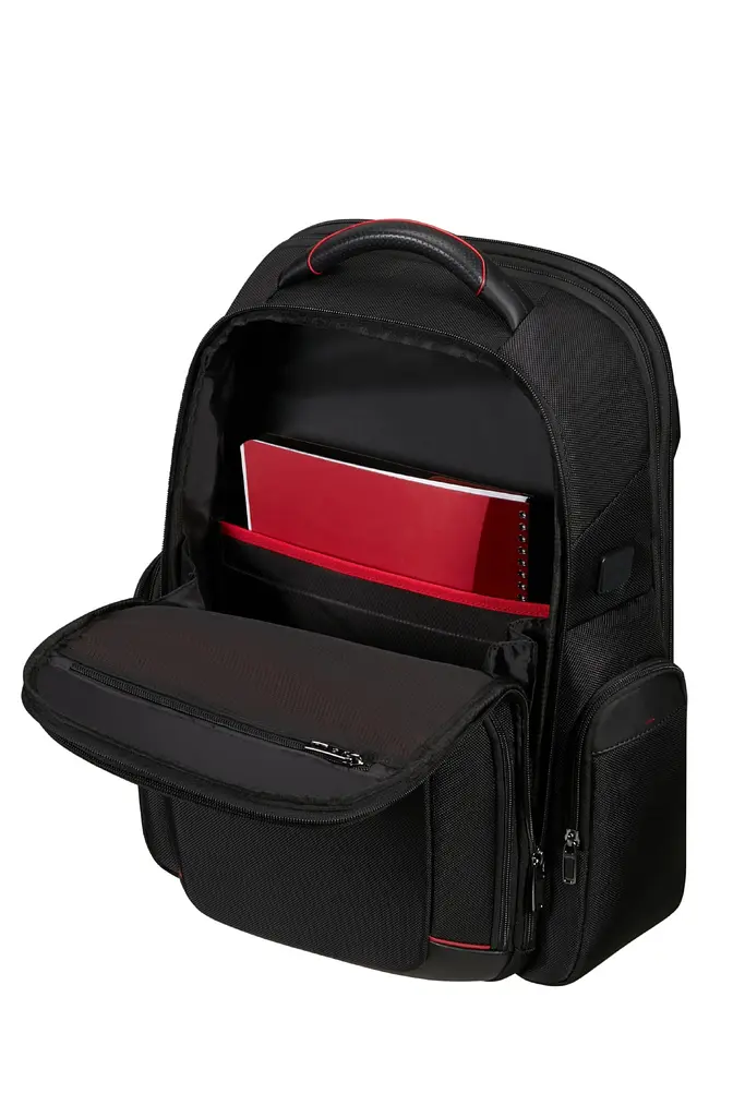 Рюкзак 17.3" Samsonite PRO-DLX 6 BLACK 46x32x18(24) KM2*09009 - фото 13