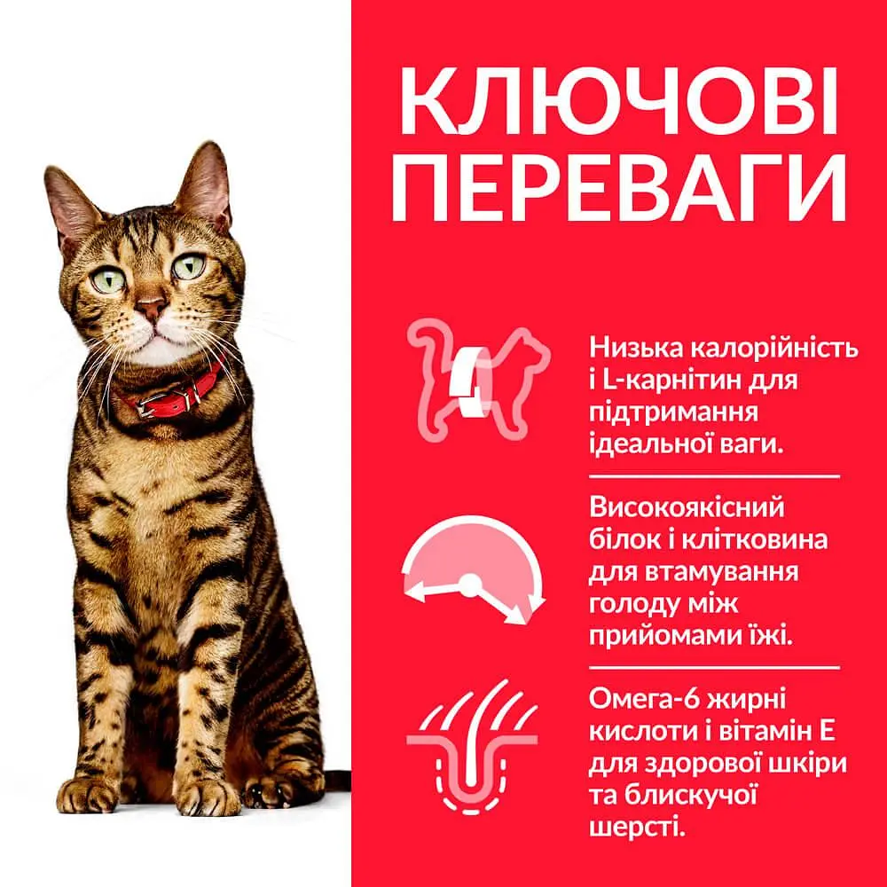 Сухий корм Hill's SP Adult Light для схильних до лишньої ваги дорослих котів з куркою 1.5 кг - фото 2