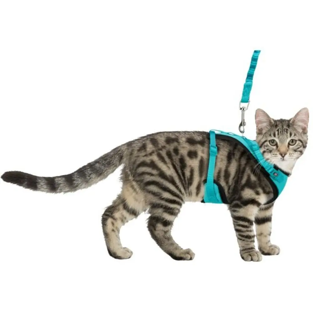 Шлея для котів Trixie Y-harness 39–60 см/10 мм повідець 1 м бірюзова - фото 3