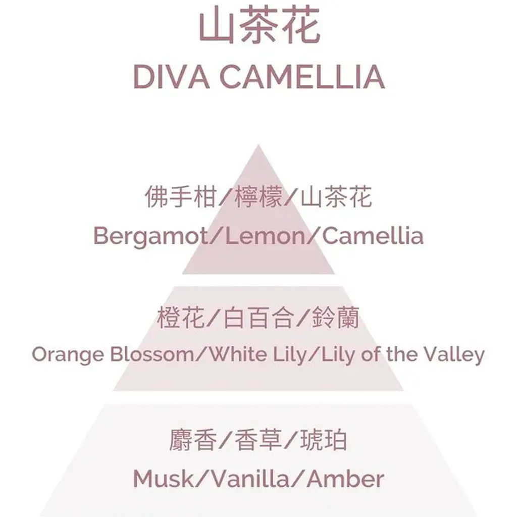 Ароматична свічка Plantes & Parfums Diva Camelia 180 г - фото 3