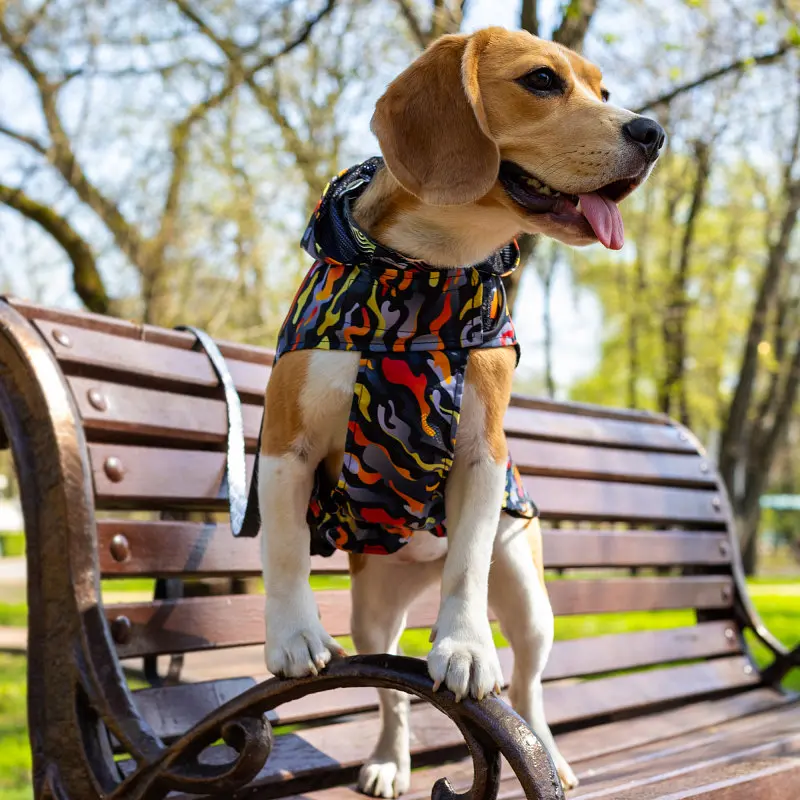 Дощовик для собак з капюшоном Barksi Textile розмір XS Гравітація - фото 5