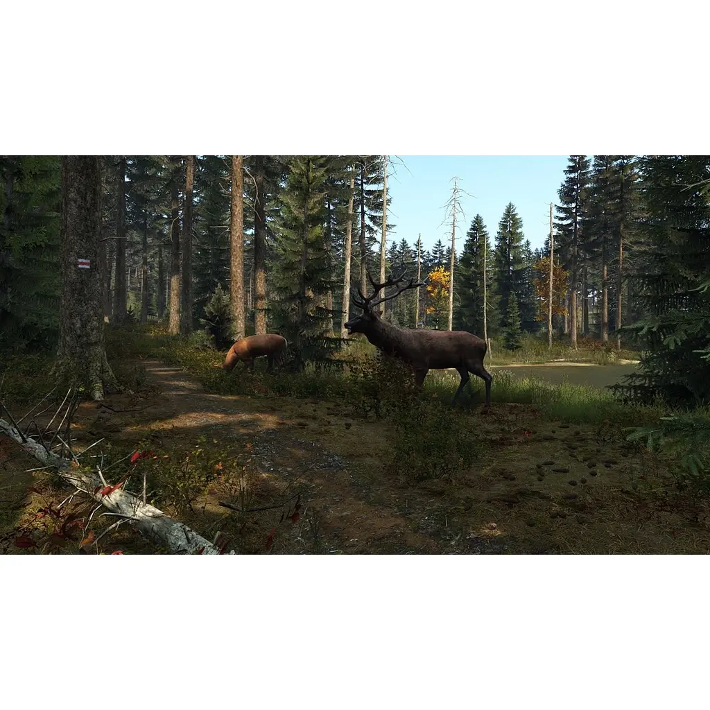 Ключ активації Microsoft DayZ для Xbox One/Series - фото 2