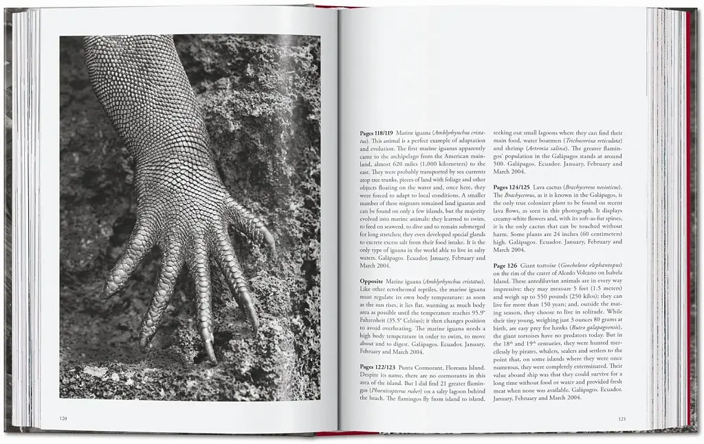 Sebastiao Salgado. Genesis. 45th Edition - фото 7