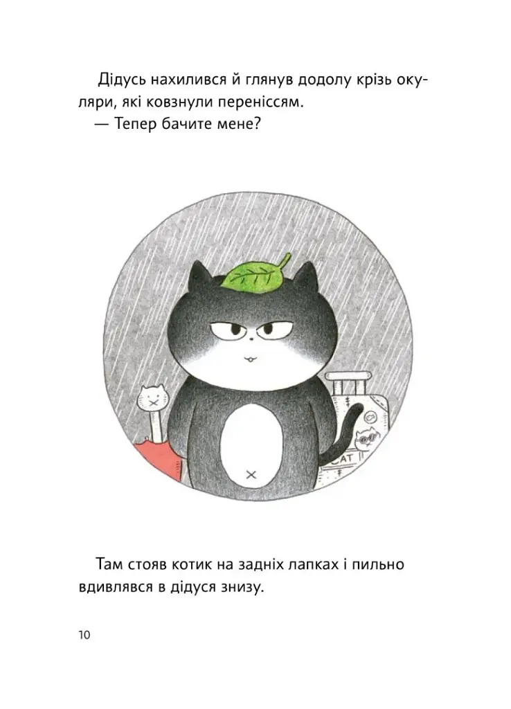 Чорний Кіт — помічник. Дотримуйтеся порядку в резиденції! - фото 4