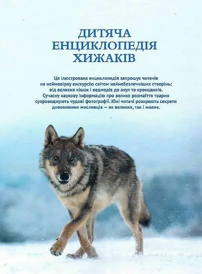Дитяча енциклопедія хижаків kni0003834 - фото 2