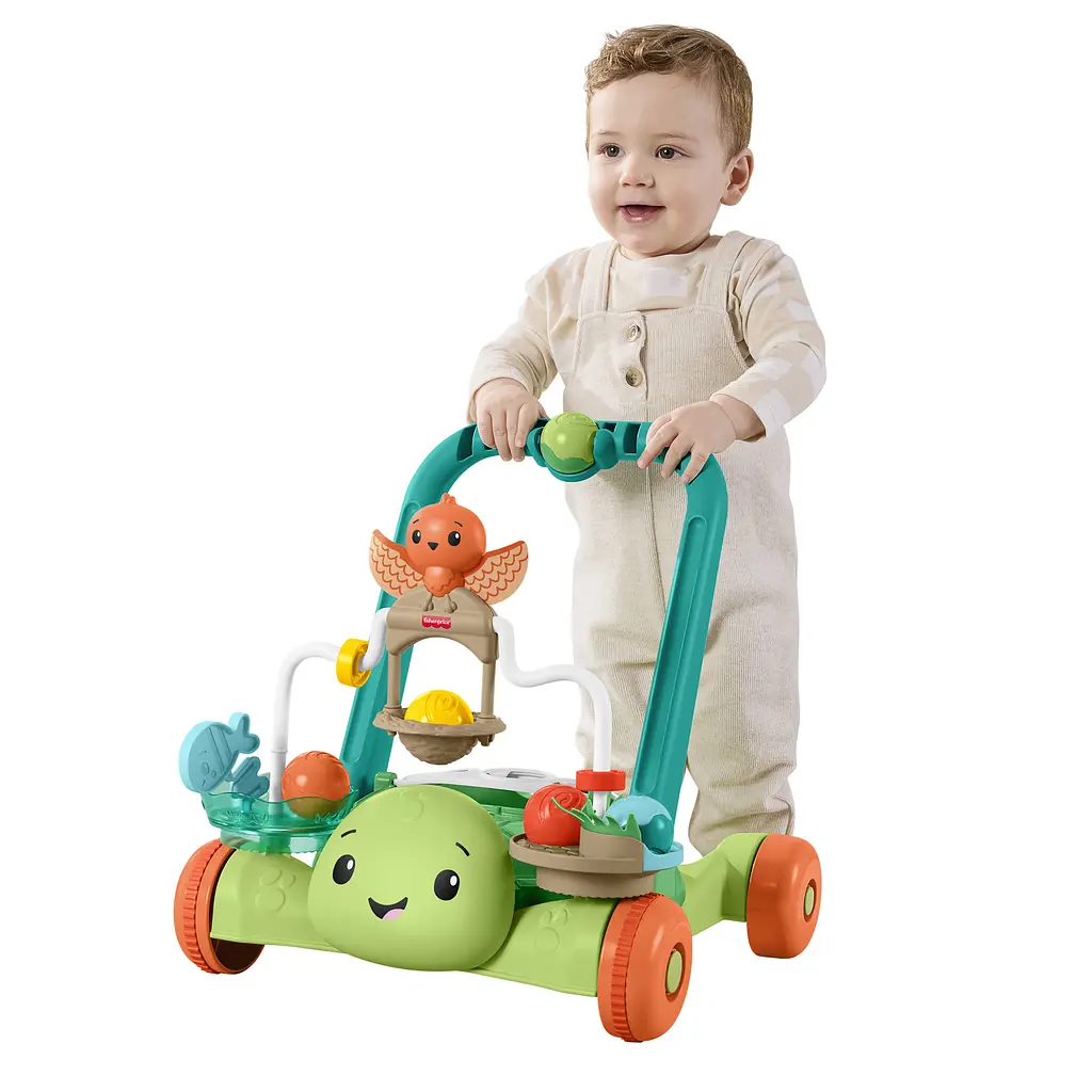 Інтерактивні ходунки Mattel Черепашка з кульками Fisher-Price (JKD63)