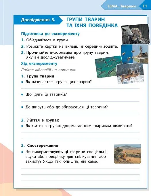 STEM-Старт. Наука про життя. Робочий зошит. 4 клас - Ірина Потапенко - фото 6