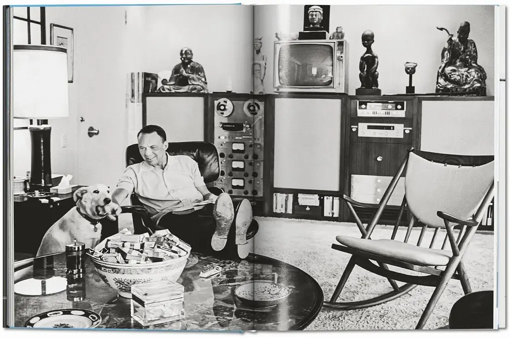 Frank Sinatra Has a Cold - фото 3